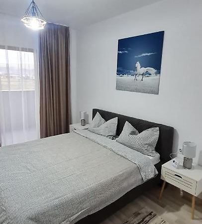 Ferienwohnung La Andrei Bistriţa Exterior foto